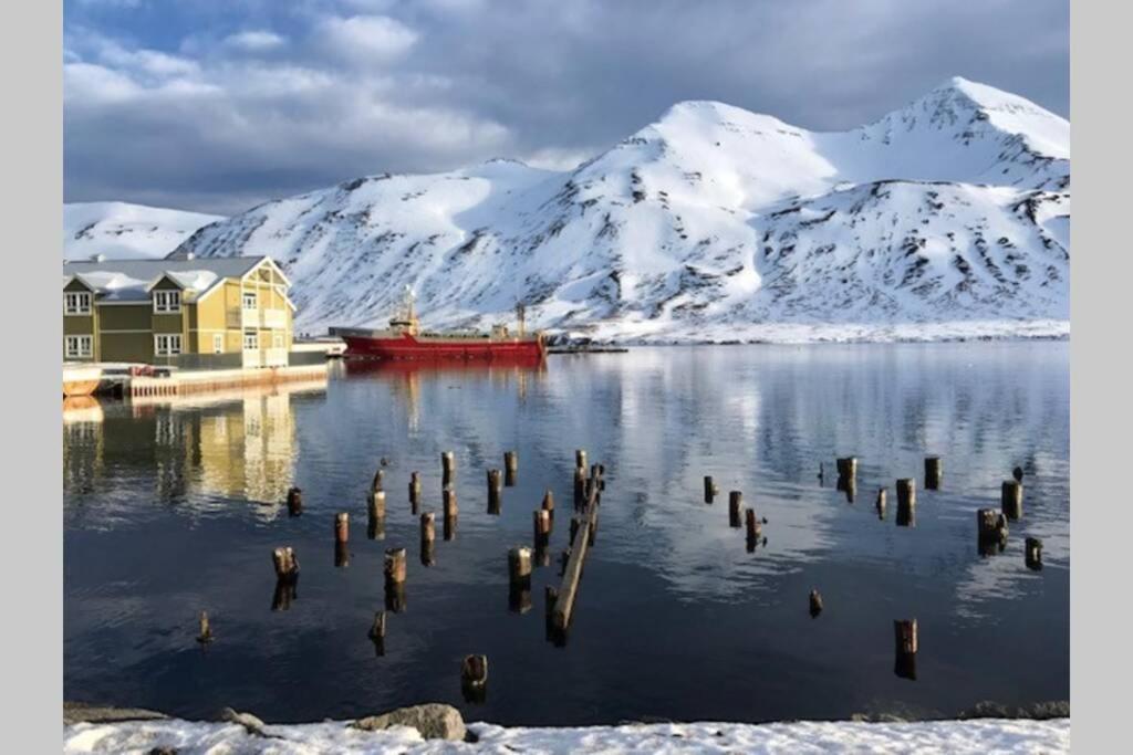 House With A Warm Soul In North Iceland Siglufjordur Екстериор снимка